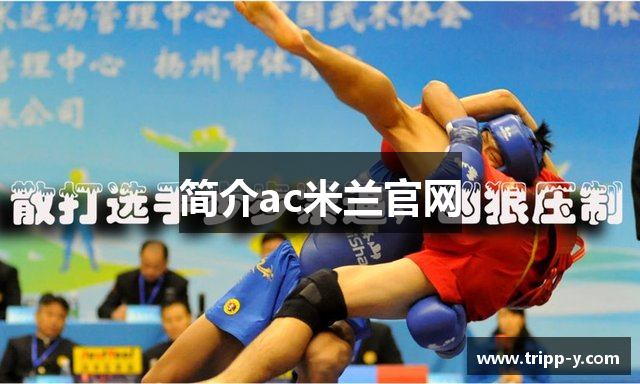 简介ac米兰官网